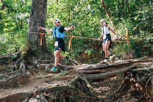 BIB: 
                            <button type="button" onclick="openModal(27558765)" class="btn btn-primary btn-sm float-right btn-popup" data-toggle="modal" data-target=".modal-high-quality">
                        <i class="fas fa-shopping-cart"></i> Add to Cart
                    </button>
                                            <button type="button" onclick="isThisMe(27558765, true)" class="btn btn-success btn-sm float-right btn-popup btn-isme hidden" data-toggle="tooltip" data-placement="bottom" title="นี่คือรูปของคุณใช่ไหม คลิกที่นี่เพื่อเอาเข้าอัลบั้ม">
                        <i class="fas fa-plus"></i> Add to album
                    </button>
                    <button type="button" onclick="isThisMe(27558765, false)" class="btn btn-warning btn-sm float-right btn-popup btn-isnotme hidden">
                        <i class="fas fa-ban"></i> Remove from album
                    </button>